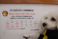 新メニュー写真