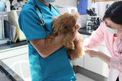 新メニュー写真